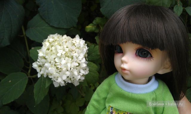 Всё бывает в первый раз или как Ришенька гулять ходила. LittleFee, FairlyLand | Бэйбики Всё бывает в первый раз или как Ришенька гулять ходила. LittleFee, FairlyLand