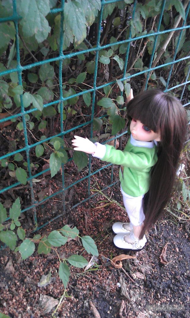 Всё бывает в первый раз или как Ришенька гулять ходила. LittleFee, FairlyLand | Бэйбики Всё бывает в первый раз или как Ришенька гулять ходила. LittleFee, FairlyLand