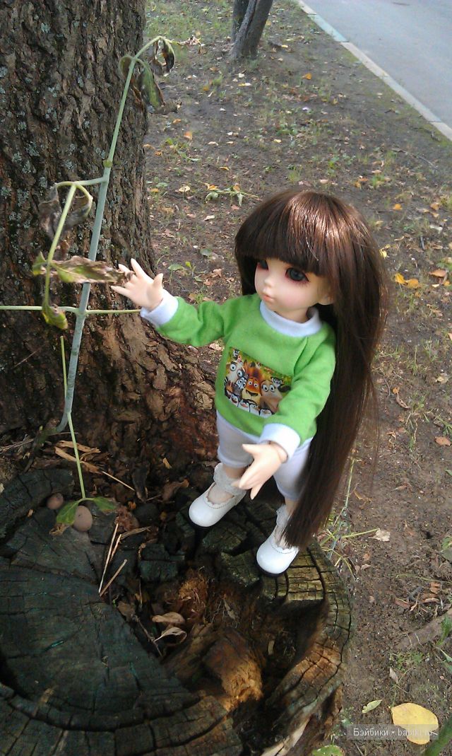 Всё бывает в первый раз или как Ришенька гулять ходила. LittleFee, FairlyLand | Бэйбики Всё бывает в первый раз или как Ришенька гулять ходила. LittleFee, FairlyLand