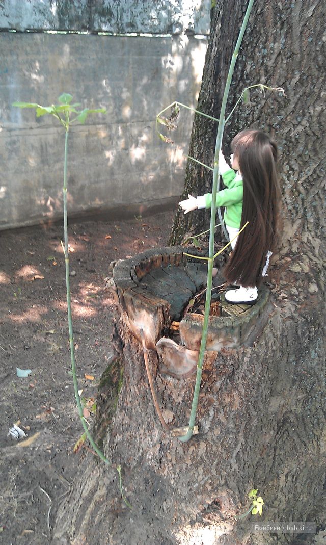 Всё бывает в первый раз или как Ришенька гулять ходила. LittleFee, FairlyLand | Бэйбики Всё бывает в первый раз или как Ришенька гулять ходила. LittleFee, FairlyLand