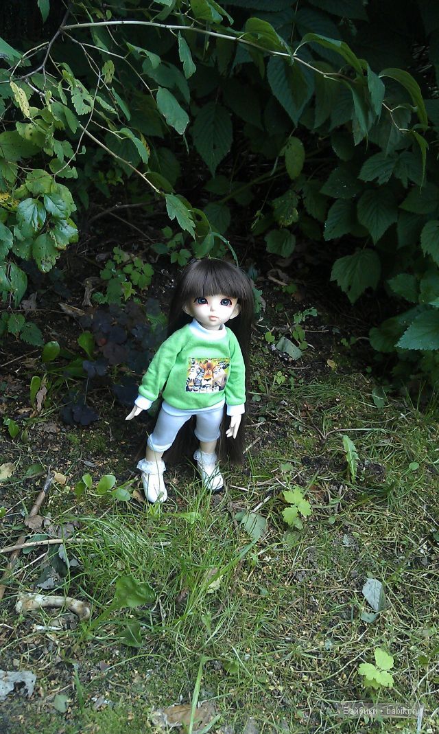 Всё бывает в первый раз или как Ришенька гулять ходила. LittleFee, FairlyLand | Бэйбики Всё бывает в первый раз или как Ришенька гулять ходила. LittleFee, FairlyLand