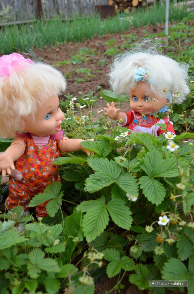 Приключения Фейсиков в деревне