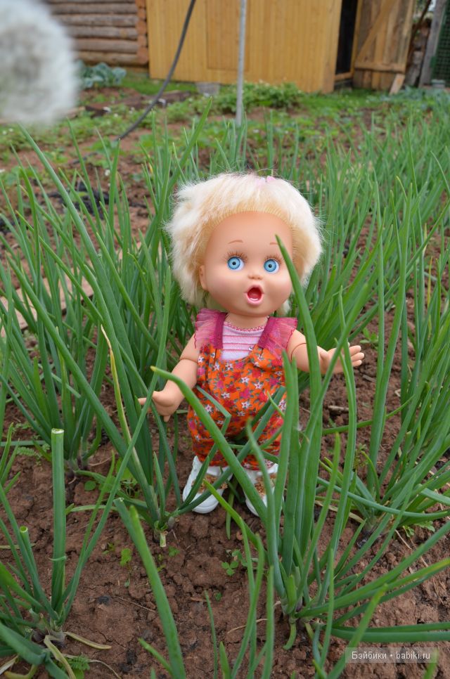 Приключения Фейсиков в деревне