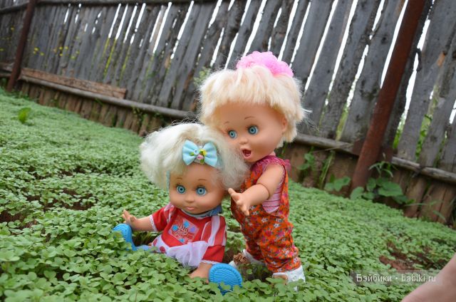 Приключения Фейсиков в деревне