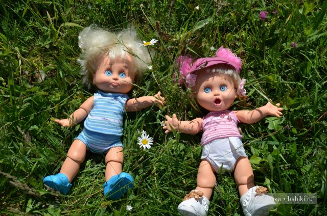 Приключения Фейсиков в деревне (фото 8)