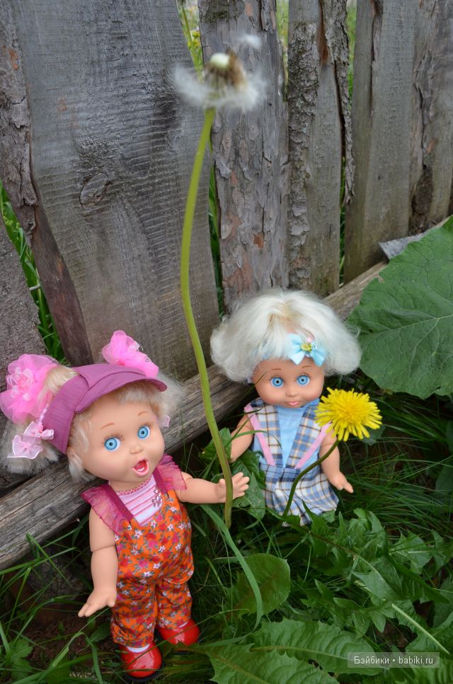 Приключения Фейсиков в деревне (фото 4)