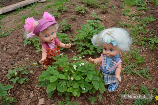 Приключения Фейсиков в деревне