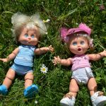 Приключения Фейсиков в деревне