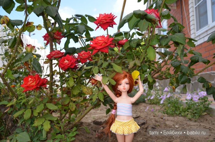 Люси на море.... Lonnie от Iplehouse | Бэйбики Люси на море.... Lonnie от Iplehouse