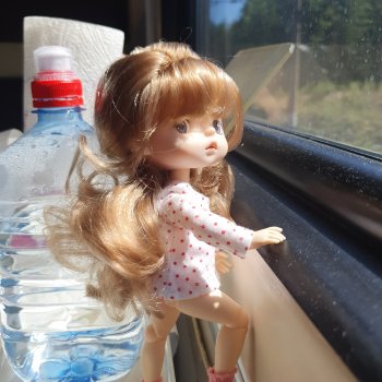 Путешествие на поезде))