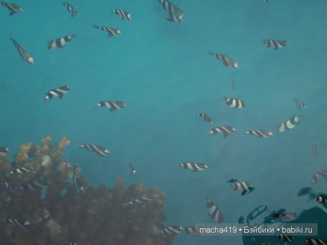 Рай на земле. Мальдивские острова