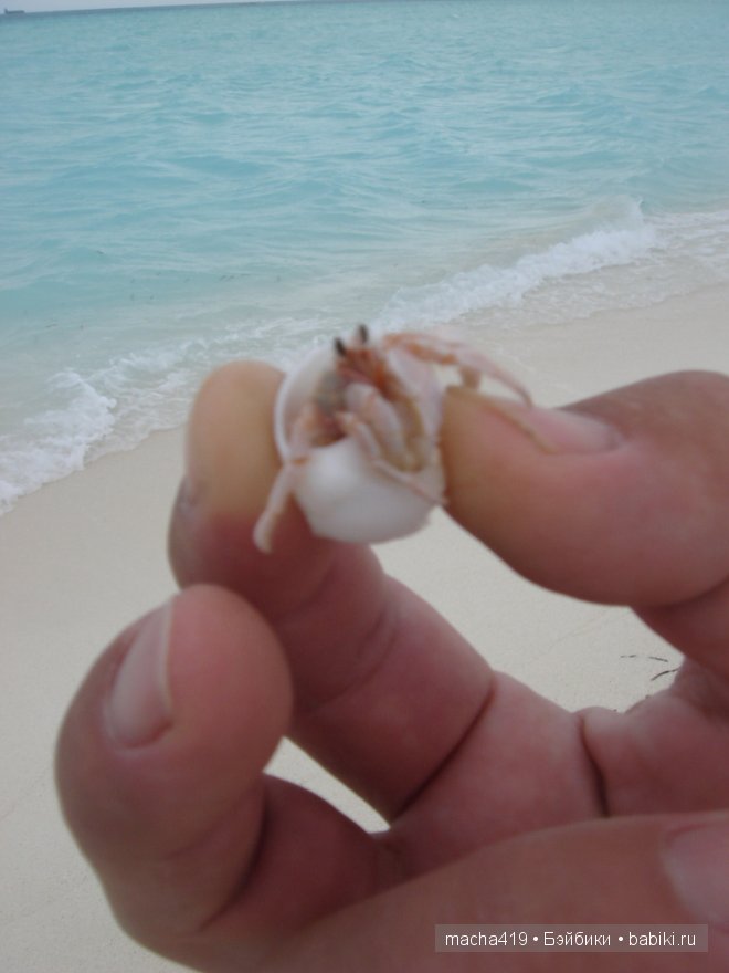 Рай на земле. Мальдивские острова