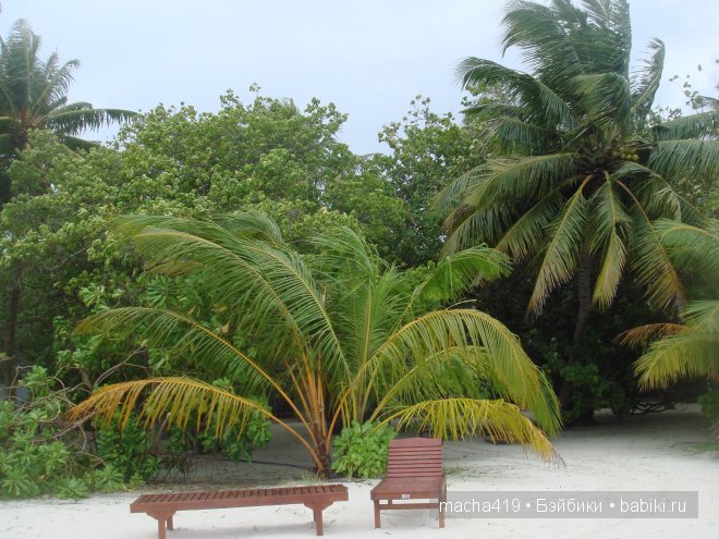 Рай на земле. Мальдивские острова