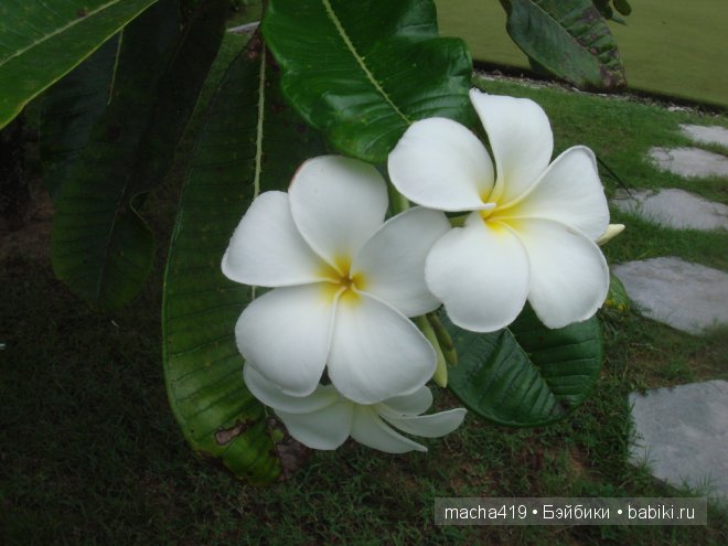 Рай на земле. Мальдивские острова