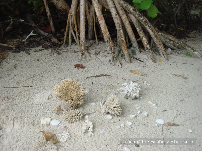 Рай на земле. Мальдивские острова