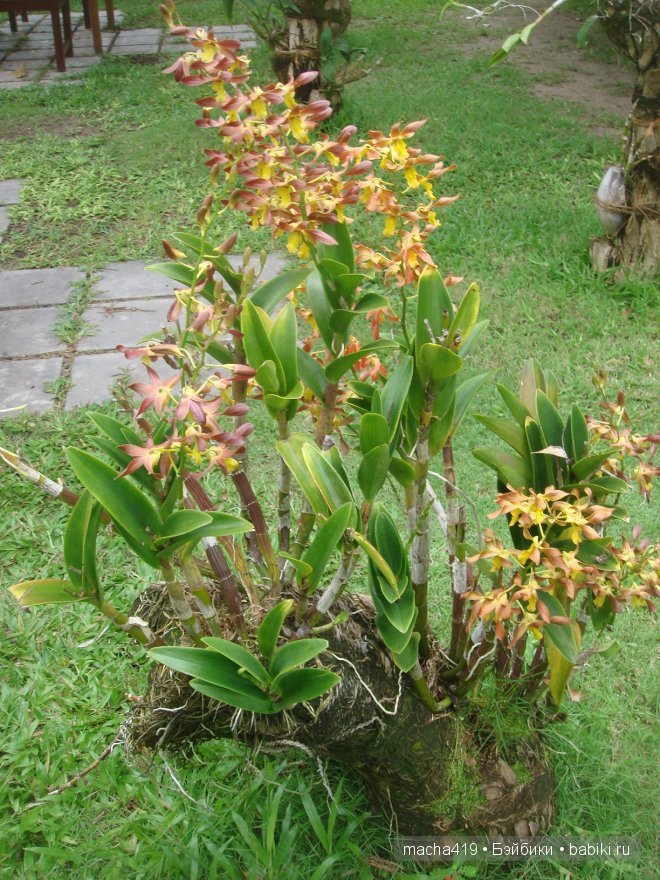 Рай на земле. Мальдивские острова