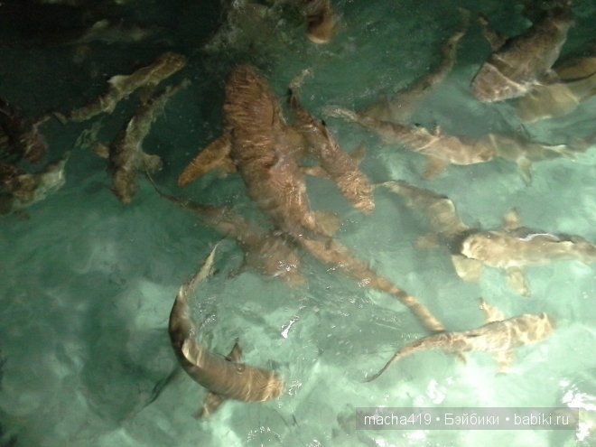 Рай на земле. Мальдивские острова