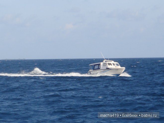 Рай на земле. Мальдивские острова (фото 10)