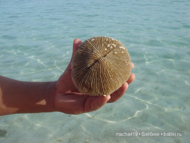 Рай на земле. Мальдивские острова