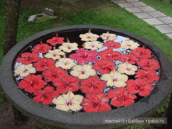 Рай на земле. Мальдивские острова