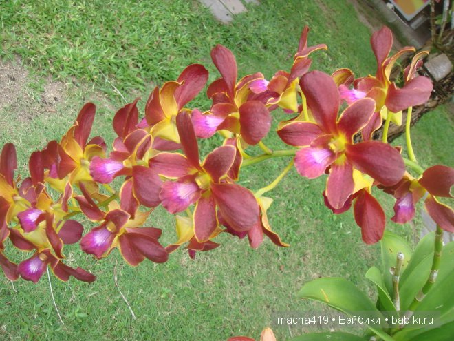 Рай на земле. Мальдивские острова