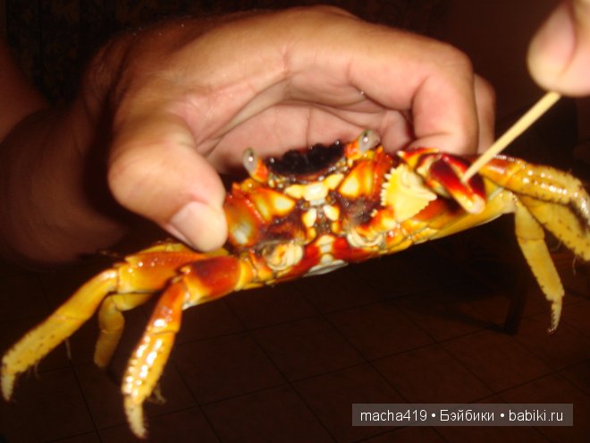 Рай на земле. Мальдивские острова