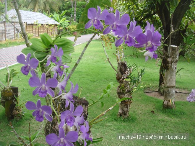 Рай на земле. Мальдивские острова