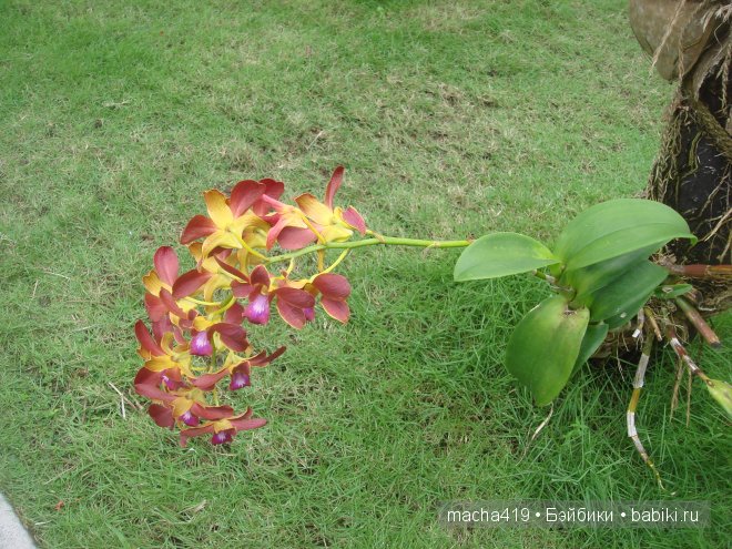 Рай на земле. Мальдивские острова