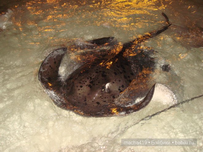 Рай на земле. Мальдивские острова