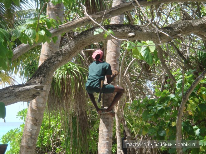 Рай на земле. Мальдивские острова