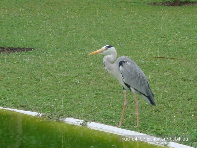 Рай на земле. Мальдивские острова