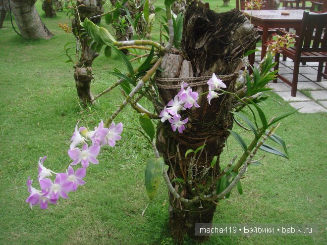 Рай на земле. Мальдивские острова