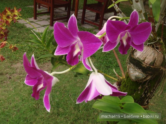 Рай на земле. Мальдивские острова