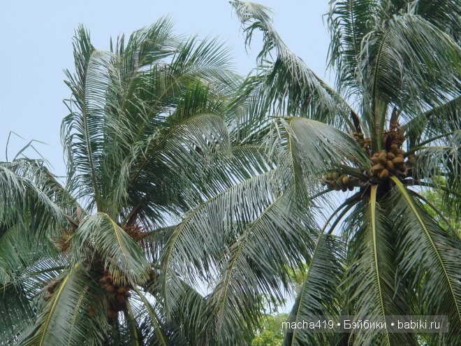 Рай на земле. Мальдивские острова