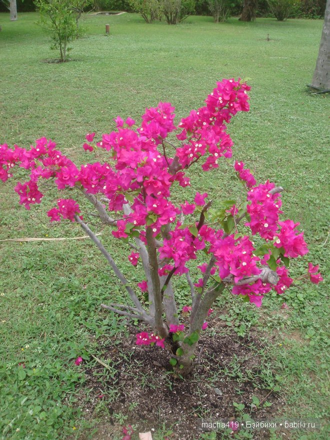 Рай на земле. Мальдивские острова