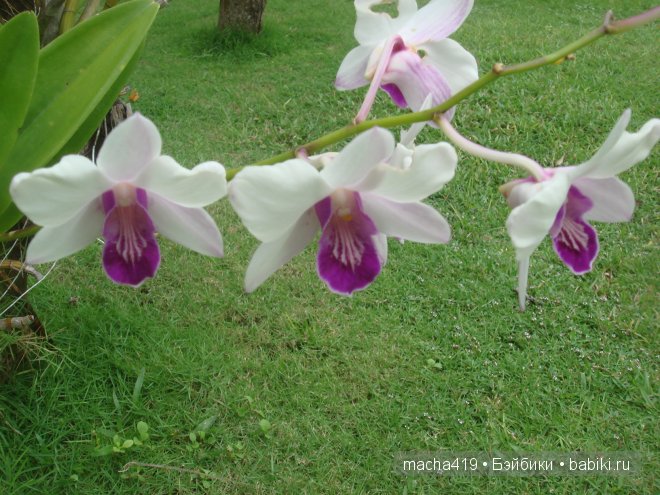 Рай на земле. Мальдивские острова