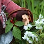 12 месяцев, или как Тамира за подснежниками ходила )