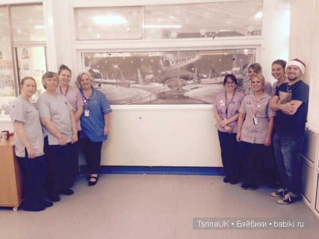 Британский художник Том Бейкер и его чудесные окна (фото 4)