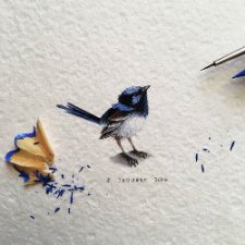 Крошечные животные на крошечных картинах