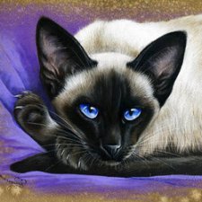 Пушистое счастье Ирины Гармашовой