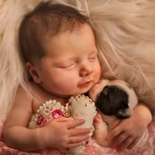 Младенцы и пушистики Суеты Сетия