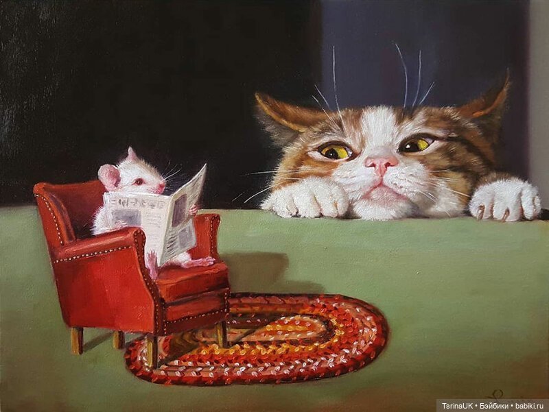 Тайная жизнь мышек — В мире животных: смешные фото питомцев и зверей