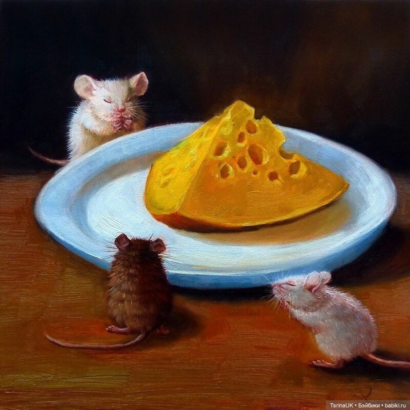 Тайная жизнь мышек — В мире животных: смешные фото питомцев и зверей (фото 9)