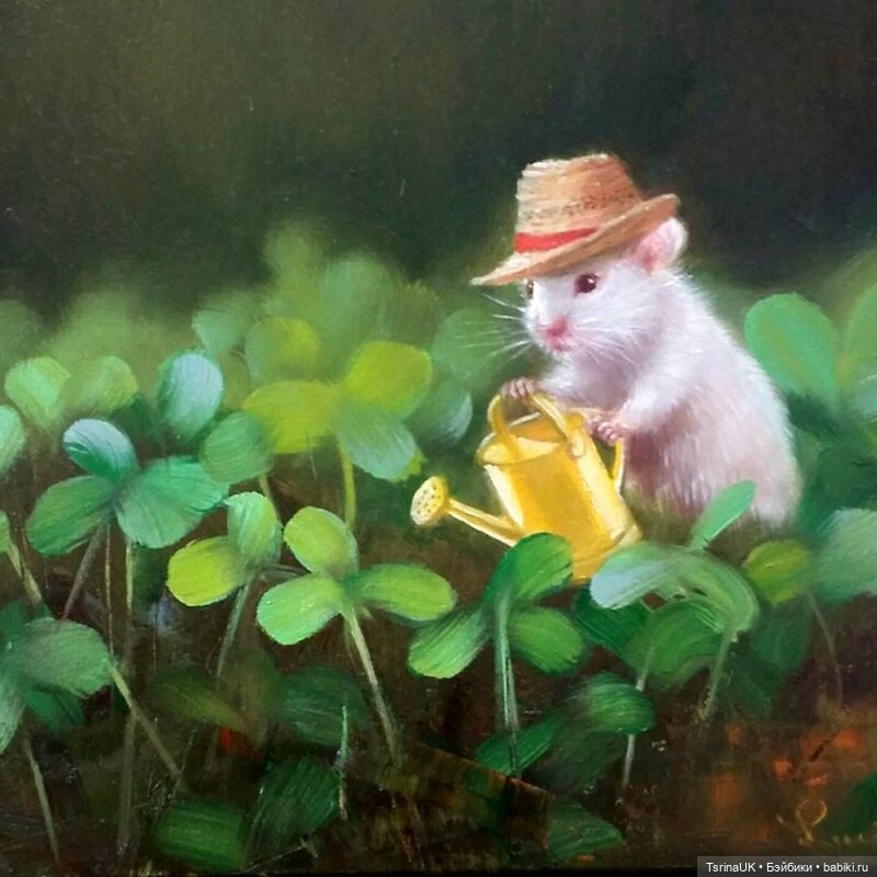 Тайная жизнь мышек — В мире животных: смешные фото питомцев и зверей