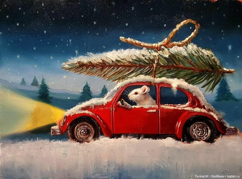 Тайная жизнь мышек — В мире животных: смешные фото питомцев и зверей (фото 3)