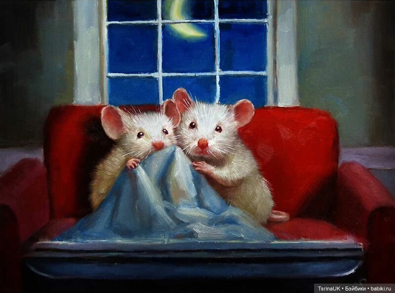 Тайная жизнь мышек — В мире животных: смешные фото питомцев и зверей (фото 2)