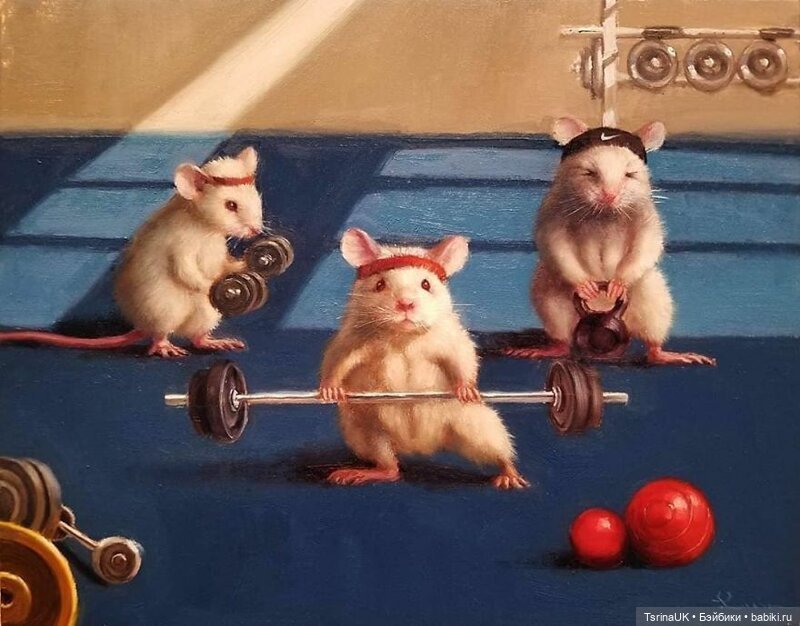 Тайная жизнь мышек — В мире животных: смешные фото питомцев и зверей (фото 8)