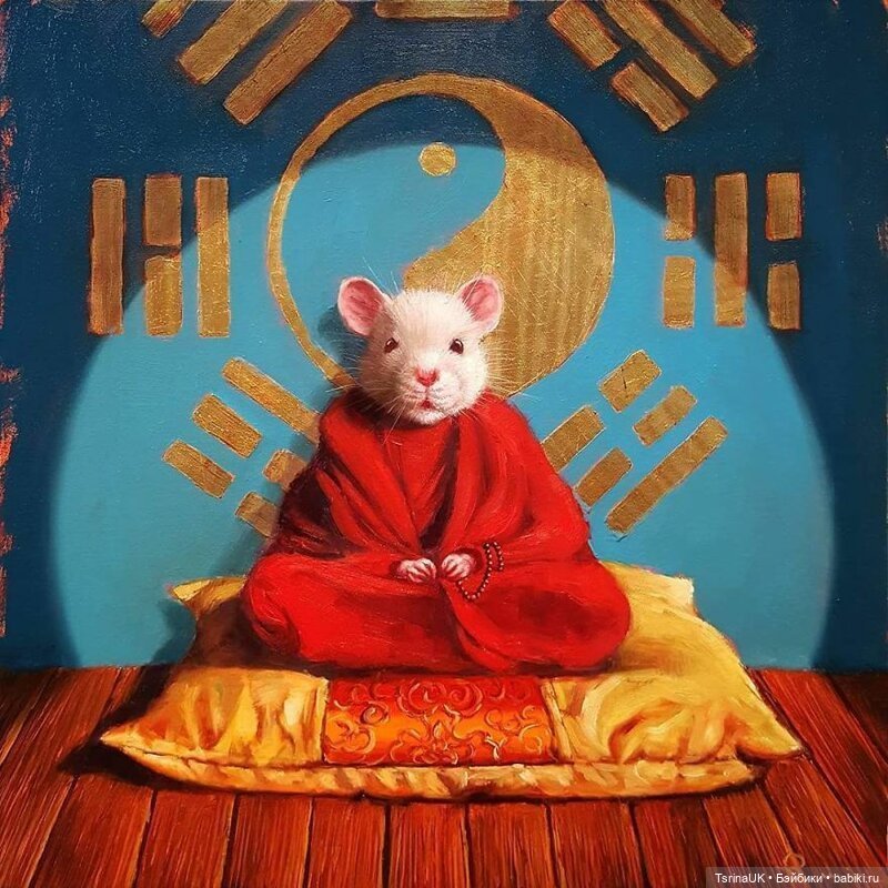 Тайная жизнь мышек — В мире животных: смешные фото питомцев и зверей