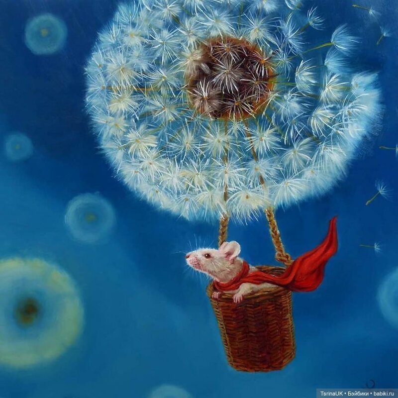 Тайная жизнь мышек — В мире животных: смешные фото питомцев и зверей