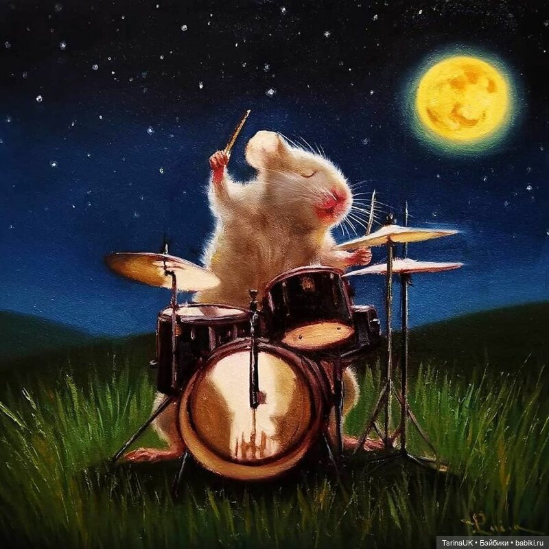 Тайная жизнь мышек — В мире животных: смешные фото питомцев и зверей